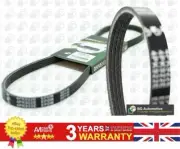 V Ribbed Belt For Chrysler SEBRING Fiat DUCATO Ford SCORPIO 04892711AA