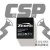 【CSP進煌】NP2.9-12 (12V2.9Ah) 鉛酸電池/喊話器 (台灣製)