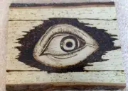 Basswood Eye - wood burn art pyrography 9x12” Oval solid live edge hand burned