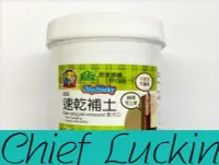 在飛比找Yahoo!奇摩拍賣優惠-瑞幸首席賣場-修繕屋 速乾補土 250g 4826 補土 批