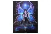 Anne Stokes Immortal Flight Canvas (Multicoloured) (Small)