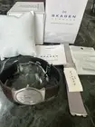 Skagen Men’s Watch 233XLSGS Slim Line MeshStrap customized-Genuine Ostrich strap