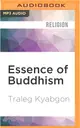 Essence of Buddhism ― An Introduction to Its Philosophy and Practice