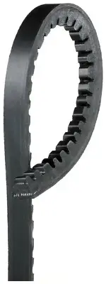 For 1979-1981 Volkswagen Dasher Accessory Drive Belt Alternator Gates 157HI41 (for: Volkswagen)