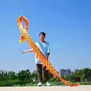 DSJUGGLING 3D Colorful Dragon Silk Flowy Spinning & Shaking Poi - Flinging The Dragon Spiral Practice Ribbon Streamer with Fiberglass Handsticks + Travel Bag! (5 Meters (16.4 FT), Gold Scale Color)