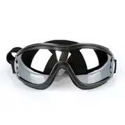 Anti Fog Dog Snow Goggles