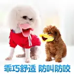 買一送一 狗狗鴨嘴套小型犬嘴罩防叫防咬套防誤食口罩泰迪比熊幼犬寵物用品 雙十二購物節