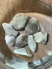 Natural Ohio Rocks For Tank Decorating- Fossilized Stones Aquarium Terrarium