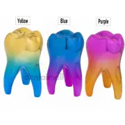 14x8cm Dental Dentist Gift Crafts Toys Artware Teeth Dentistry Clinic Decoration