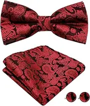 [Mantieqingway] Bow Ties for Men Paisley Bowtie Pocket Square Cufflinks Set Adjustable Pre-tied Bowtie Handkerchief for Wedding