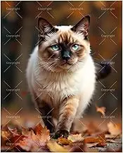 TAOPAOLAB Autumn Siamese Cat Paint by Numbers Kit for Adults - DIY Fluffy Blue-Eyed Cat with Leaves Painting on Canvas 16x20 Inches, Acrylic Paint Set, Suitable for Beginners, Pet Art for Decoration