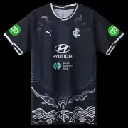 Carlton Blues 2025 AFL Puma Training Shirt Sizes S-6XL!