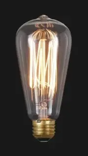 B&P Lamp Edison Base "Squirrel Cage" Light Bulb