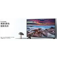 在飛比找蝦皮購物優惠-【大邁家電】Panasonic國際牌 TH-43FX600W