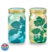 Modern Sprout Mason Garden Jar - Self-Watering Hydroponics Growing System Kit