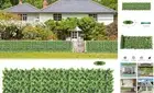 Artificial Ivy Privacy Fence Wall Screen, Artificial Hedges Fence and Faux Ivy