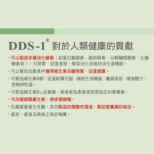 台灣康醫 DDS-1 原味專利製程乳酸菌30億 升級版(30顆/瓶)原廠公司貨 唯康藥局