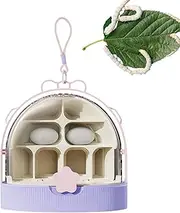 Transport Box for Silk, Airy Light Terrarium for Breeding Small Animals - Habitat for Reptiles Indoor Breeding Science Projects Outdoor Activities