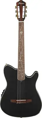 IBANEZ TOD10N Tim Henson Guitar - Transparent Black Flat