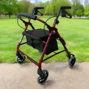 Ellipse Petite Rollator