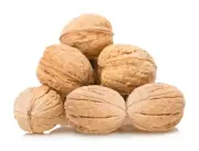 Raw California Walnuts In Shell Premium Quality Whole & Unsalted Walnuts 4 lbs