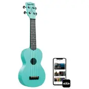 Kala (KA-WMG-BL-S) Aqua Mist GITD Soprano Waterman