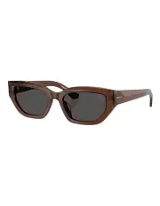 [Burberry] Acetate Sunglasses in Brown