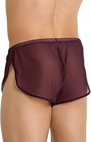 [palglg] Mens Mesh Shorts See Through with Large Split Sides Sexy Sheer Boxers Underwear