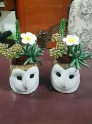 White Owl Head Figurine Vase Pot Ceramic Mini Plant Succulent Flower Home Decor