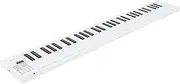 Folding Piano Keyboard with 61 Keys, Portable Travel Piano Music Keyboard for Beginners, Electronic Piano with Recording and Playback, Piano Keyboard for Beginners