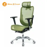 在飛比找momo購物網優惠-【Mesh 3 Chair】華爾滋人體工學網椅-尊爵版-蘋果