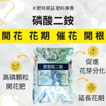 【肥料小農場】磷酸二銨 開花肥 一公斤 ｜開花肥 開根 磷肥 磷鉀肥 高磷 磷肥 鉀肥 花肥