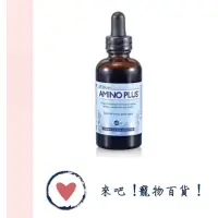 在飛比找蝦皮購物優惠-《VETdicate寵特寶》胺寶 Amino Plus