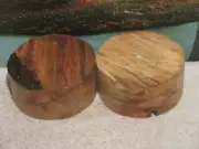 2PC SPALTED MAPLE 6X3 TURNING WOOD BOWL BLANK