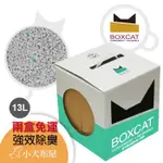 《免運》【BOXCAT盒砂】國際貓家-綠標【2盒】 強效除臭大球礦砂 13L(10KG)，多貓家庭CP值高，貓砂