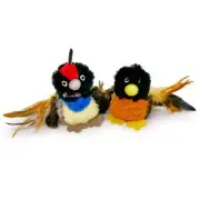 Kitty Condor Crazy Catnip, Funny Cuddling Chasing Hunting Irresistible Stimul...