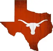 Fan Creations NCAA Texas Longhorns 12" x 12" Team Color Logo State
