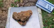 Unique NATURAL LIMESTONE HOLEY ROCK AQUARIUM TERRARIUM ROCKS GARDEN ROCK