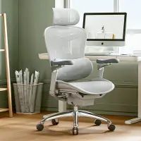 在飛比找Yahoo!奇摩拍賣優惠-人體工學椅電腦椅辦公椅老板椅子久坐舒適靠背座椅
