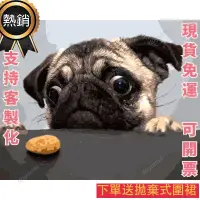 在飛比找蝦皮購物優惠-客製化 DIY數字畫 數字油畫 手繪 DIY 手工 數字油畫