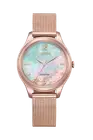 Citizen EM0508-80D Eco-Drive Stainless Steel Sakura Limited Edition Women Watch