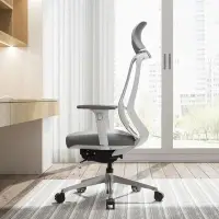 在飛比找Yahoo!奇摩拍賣優惠-促銷打折 日本岡村okamura人體工學椅sylphy li