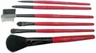 Vega Set of 6 Make up Brushes
