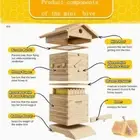 10X Auto Honey Brood Beehive Bee hive Frames & Mini Beekeeping Brood Wood Box AU