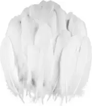 120Pcs 6-8 Inch White Feathers, Natural Goose Feathers for DIY Wedding Decoratio