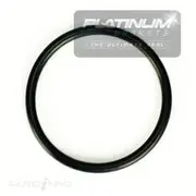 Platinum Thermostat Gasket O Ring - GG1099