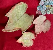 Set of 3 Leaf Impressioned Trays In Various Sizes Autumn Color Grape Leaves
