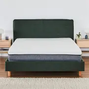 Nova Bed Frame - King / Evergreen