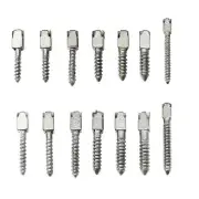 30Pcs Dental Conical Screw Posts Root Canal Pins Titanium Assorted All Size