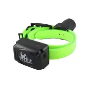 DT Systems - Replacement Beeper Collar Receiver (Green) for The RAPT1450